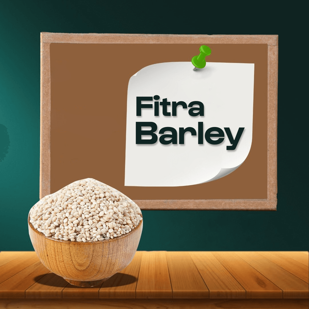Fitra barley
