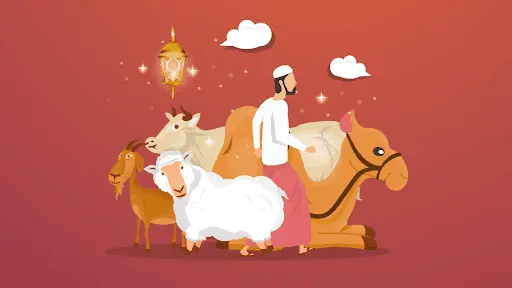 Qurbani Costs in 2025: Country-Wise Comparison