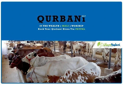 How Qurbani Supports Refugees in Crisis Zones